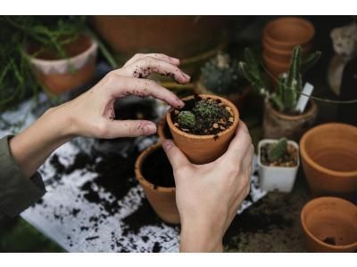 Creëer een leerzaam tuinproject bij jou op school!