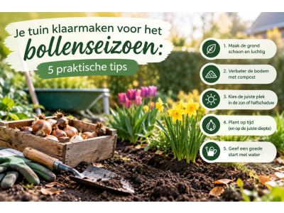 Je tuin klaarmaken voor het bollenseizoen: 5 praktische tips