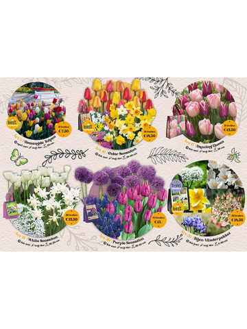 Bundel Fundraising Small