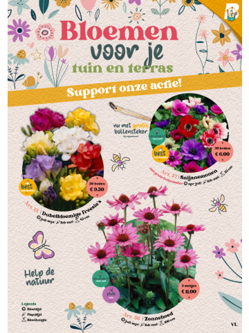 Folderpakket MEDIUM VL | VJ 2026