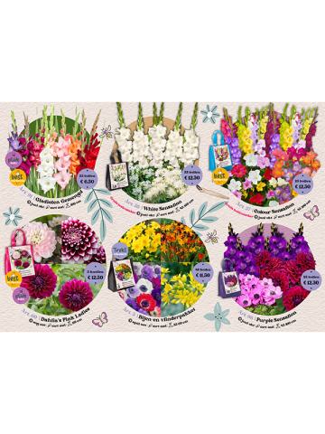 Small Bloembollenactie Voorjaar