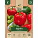 Paprika Yolo Wonder