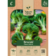 Broccoli Ramoso Calabrese 