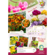 FUND - Folderpakket MEDIUM FR | VJ 2024