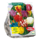 Parkiet Tulpen per 10