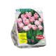 Dubbele Roze Tulpen per 10