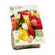 Bio Tulpen mix per 7