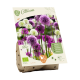 Bio Allium mix per 17