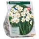 Dichters Narcis per 12