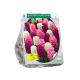 Geurende Hyacinten Roze per 9