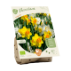 Bio Narcissen mix per 7