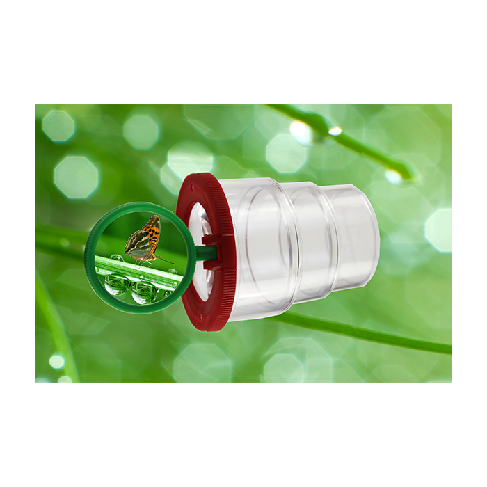 Insectenpotje (met vergrootglas)