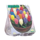 Geurende Hyacinthen per 15