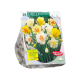Dubbelbloemige Narcissen per 20