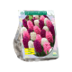 Geurende Hyacinthen Roze per 12