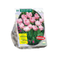 Dubbele Roze Tulpen per 20