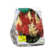 Astilbe Gemengd per 3